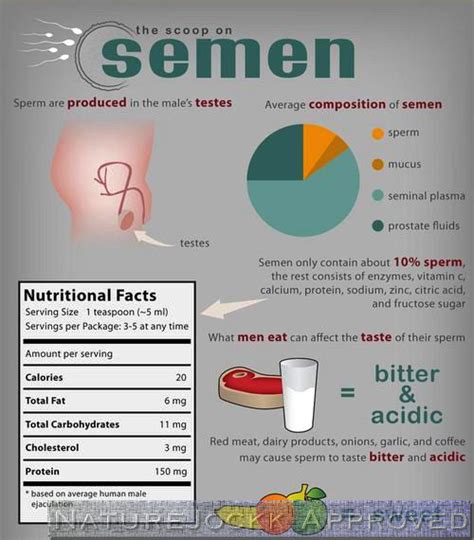 Semen Nutritional Value: What You Need To Know .